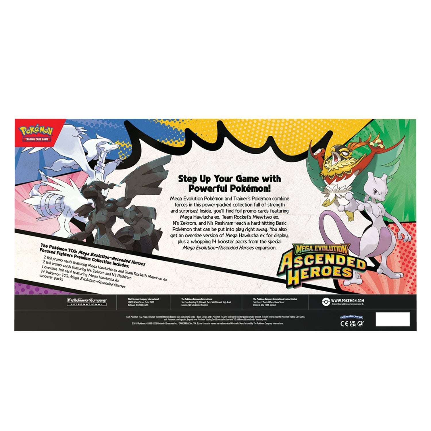 Ascended Heroes Focused Fighters Collection | Grailborne
